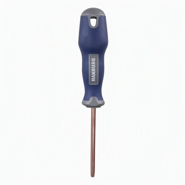 پيچ گوشتي هامبورگ ستاره اي  T10-H5439