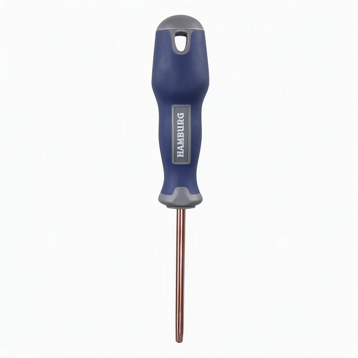 پيچ گوشتي هامبورگ ستاره اي T10-H5439